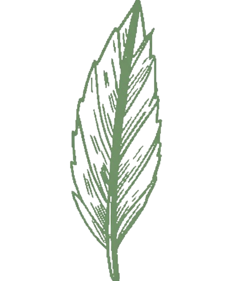 Fute Fusion - About Us